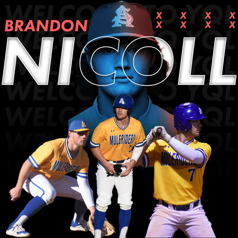 the-official-website-of-the-lethbridge-bulls-news
